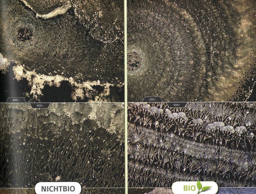 biologische und nicht-biologische Lebensmittel und deren mikroskopischen Aufnahmen